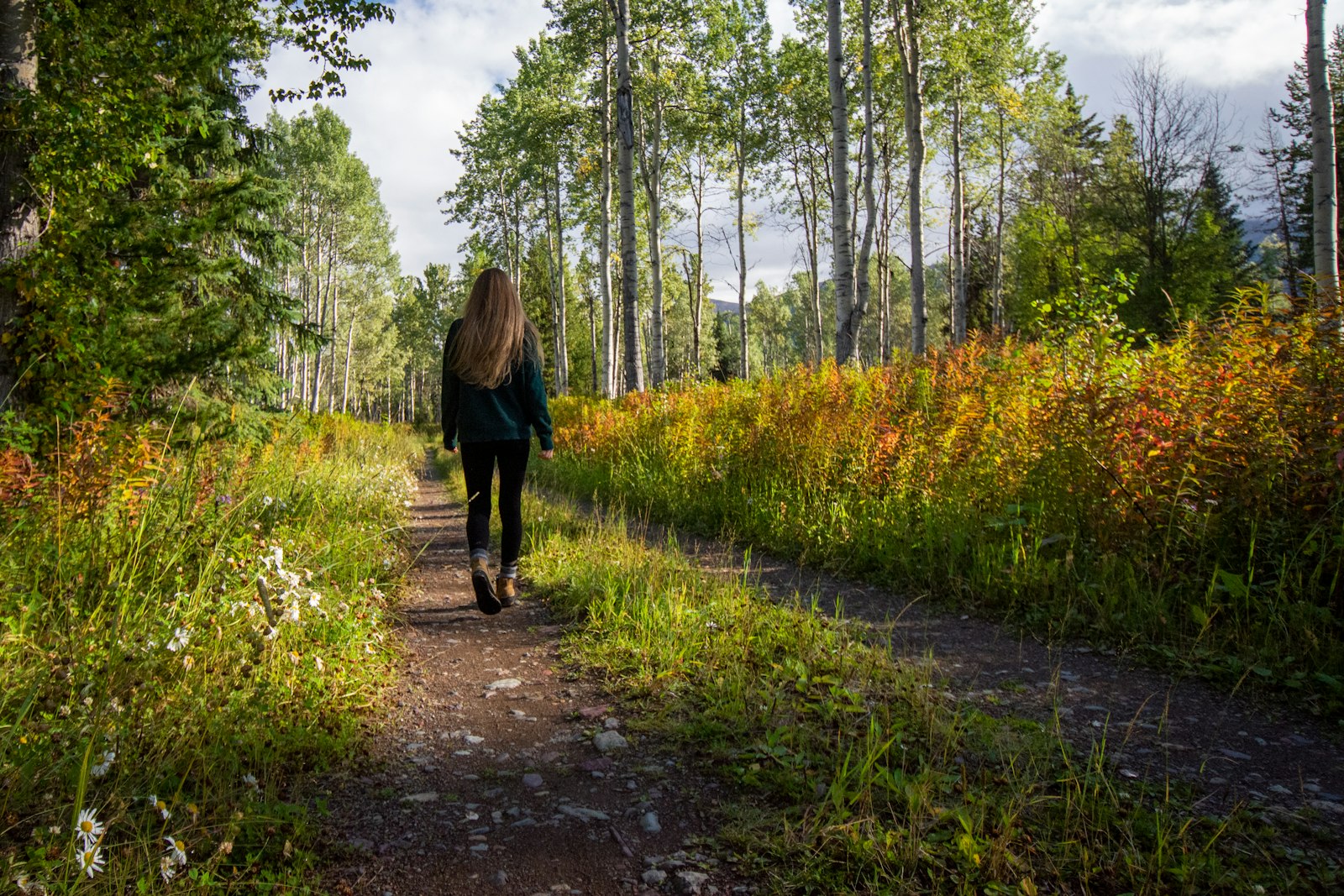 Een persoon die wandelt op een pad tussen groen gras en bomen, symbool voor geestelijk welzijn en rust