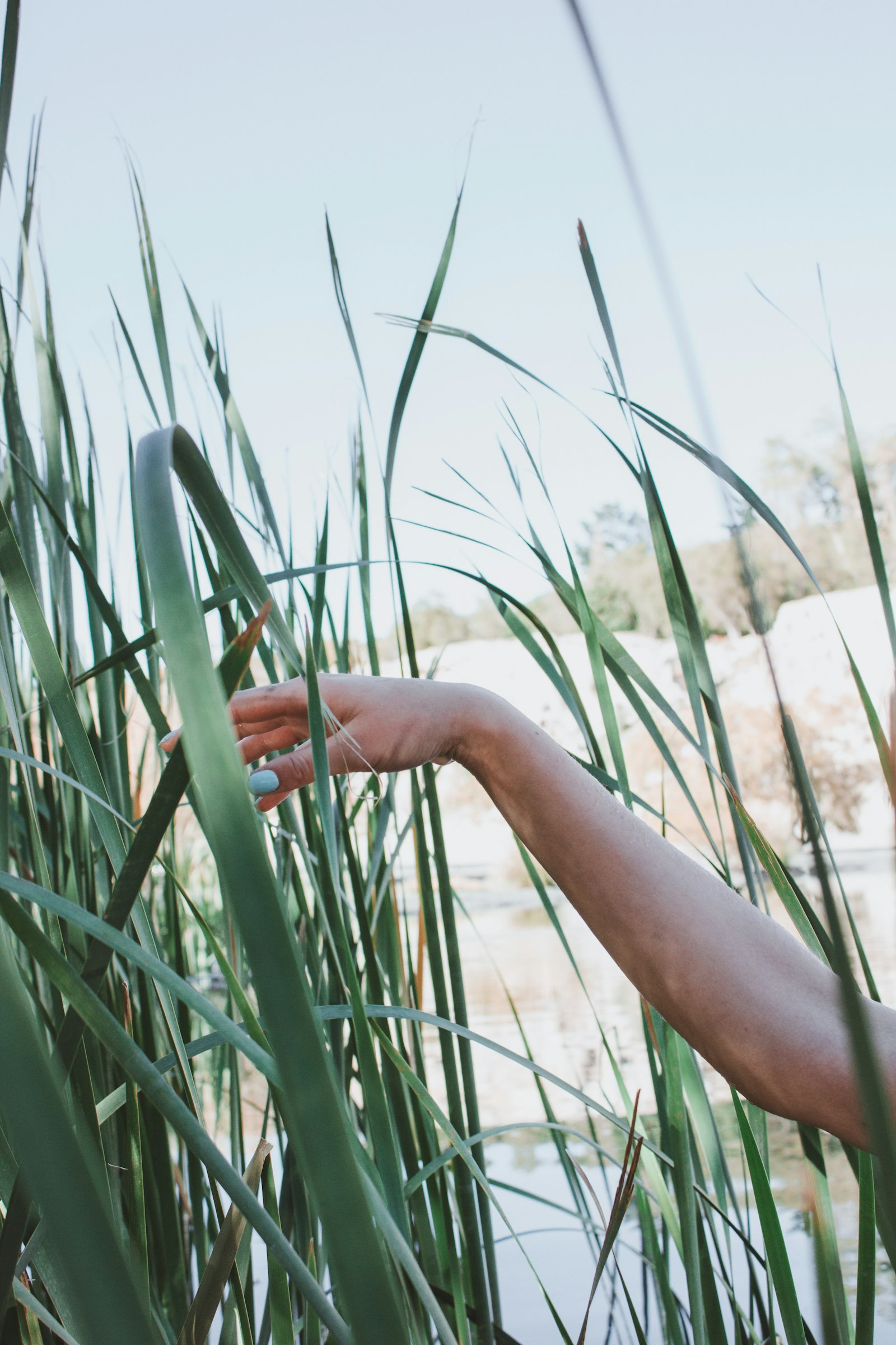 Een hand die gras aanraakt naast water, symbool voor zintuiglijke waarneming en prikkeloverdracht